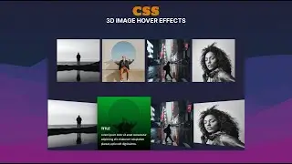 CSS 3D Image Hover Effects with Caption