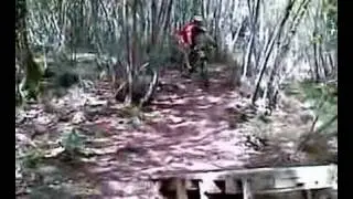 Mountain Bike - Foligno