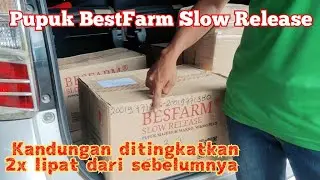 Kandungan BestFarm slow release 2 x lipat dari Pillow slow release