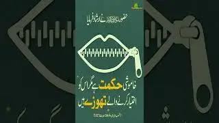Khamoshi Hikmat #shorts #youtubeshorts #hadithshorts