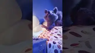 NO WAKE UP !!!!!!!