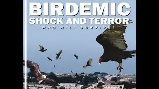 Birdemic: Shock and Terror - VF - Version Compl&egrave;te