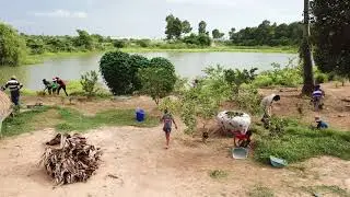 my beloved farm 0002