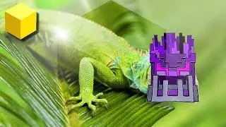 Trove - Some lizards can detach their tails if caught by predators | 