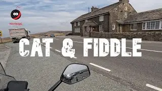 The Cat & Fiddle