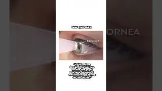 How Eyes work #eyecare #eyehealth #eyes #anatomy #physiology Physiology of eye #shortvideo #humaneye