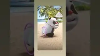 Panda lovers 💞💞😍