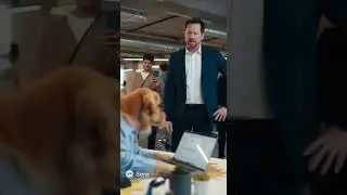 &ldquo;My Dog Just Got Fired from His Office Job 😭💼🐶&rdquo;