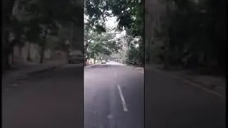 nature beauty/greenary WhatsApp status/WhatsApp status/Bangalore WhatsApp status/naturr greenery