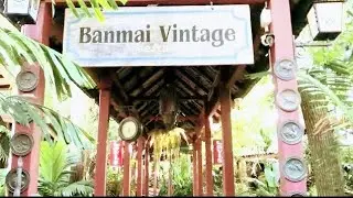 ของเก่าล้ำค่า Banmai Vintage บ้านไม้ชายน้ำ / อยู่แล้วไม่อยากกลับ YT Sound