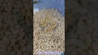 Hot Sale Puffed Corn Snacks Making Machine with 500kg/h capacity