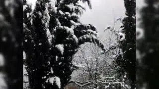 Snow falling in Thandiani Abbottabad Pakistan || snow falling in my village || Barakah&rsquo;s vlogs