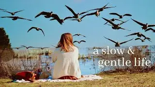 Slow & Gentle Living 🦢🍂📚 bookstores, picnics & making a dried floral wreath