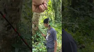 Spinning choonda | പ്ലാസ്റ്റിക് തവള കാണിച്ചു വരാലിനെ പറ്റിച്ചു #fishing #fishinglife #villagelife