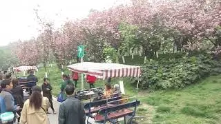 China Tour Vlogs - Medical and Yoga Teaching Tours Dr Shashikant #chinatour #tourism #imwell #china