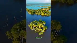 Kuzhipally ❌Kuttanad 💯 #shorts #kuttanad #village #beautiful | WatchNGrasp