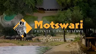 Experience The Magic of Motswari Private Game Reserve