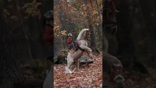 ponies have so much sass😂❣️ #youtube #horse #edit #equestrian #fail #shorts #shortvideos #funny