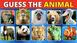 Guess The Animal Quiz in 3 Seconds | 60 Animals | Easy To Impossible | Quiz General Knowledge