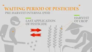 Waiting Period Of Pesticides | Farming Inspirations