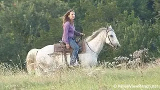 HBD Blues CD - trail riding - Valley View Ranch