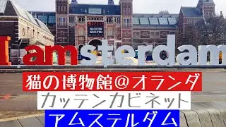 【猫旅行】猫好き必見！オランダの猫博物館！