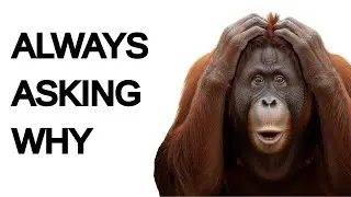 10 Hidden Signs of Extremely High IQ (Part 3) &ndash; The Need to Understand Everything