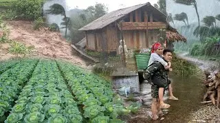 Taking care of the vegetable garden, selling ducks after 6 months of raising - Cassava harvesting