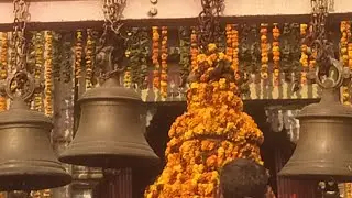 श्री बाघनाथ मंदिर से सीधे लाइव देख रहे है