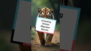 Unlocking Animal Migration🤯Secrets😱 #animals #migration #science #facts #eli5