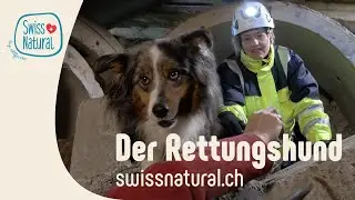 Hundefutter von Swiss Natural - der Rettungshund