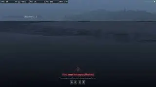 GeminiiRSD's (Cassie Carlisle) thoughts after getting perma'd by Lang Buddha. | GTA NoPixel 4.0