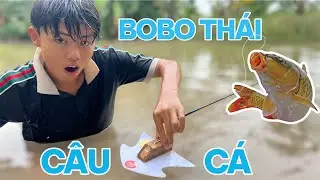 C&acirc;u C&aacute; Bằng Bobo Th&aacute;i D&iacute;nh C&aacute; Cực Ph&ecirc;