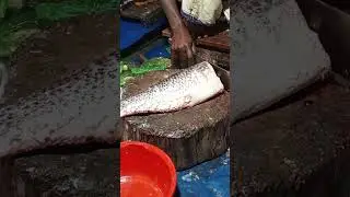 Live Fish Cutting From Market | Fresh Big Fish Cleaning & Smooth Professional Cutting Skills