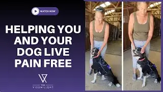 Helping You and Your Dog Live Pain Free