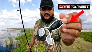 Livetarget Freestyle Frog Review! Crazy Turn Of Events!