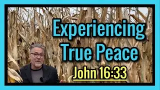 John 16:33 Explanation