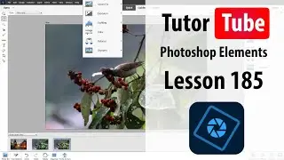 Photoshop Elements Tutorial - Lesson 185 - Custom Filters
