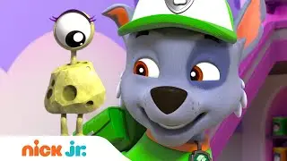PAW Patrol Pups Find Space Rock Eggs! ☄️ w/ Rocky & Rubble | Nick Jr.