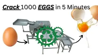 Egg Breaking Machine for Bakery Factory | Separate Shell Easily | Medium Size Commercial Equipment