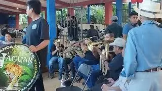 BANDA DE VIENTO JAGUAR DE COAMITLA HUAUTLA HIDALGO. FIESTA DE SANTA CECILIA 2024.