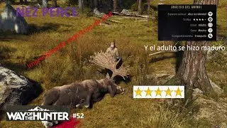Way of the Hunter: Abatimos varios 5* entre ellos un monstruo de alce