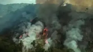 #PrayForAmazonia