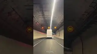 WaterView Tunnel | Auckland  #youtubeshorts
