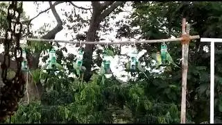 Lucky Bird Feeders