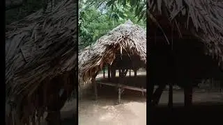 Heritage houses Hut n Chikmagalur house