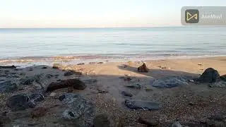 Pure Ocean Waves | Stress Relief & Sleep Sounds