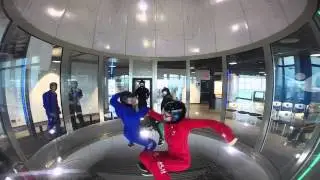 Shitfly