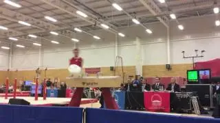 Vid Hidvegi (Hungary) at MLO2016 - PH (D: 6.8) - 13.600