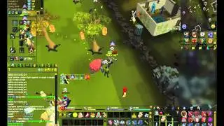 RuneScape pking nox staff